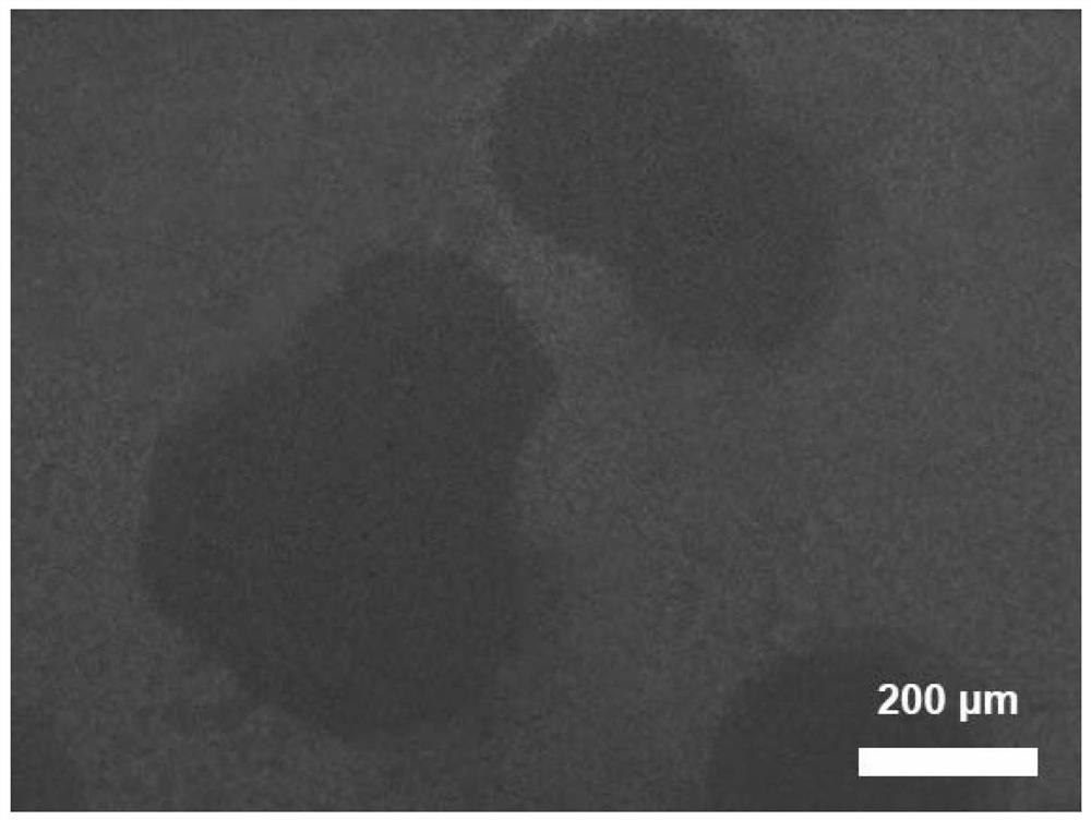 Copper film catalyst for CVD (Chemical Vapor Deposition) growth of graphene and application of copper film catalyst