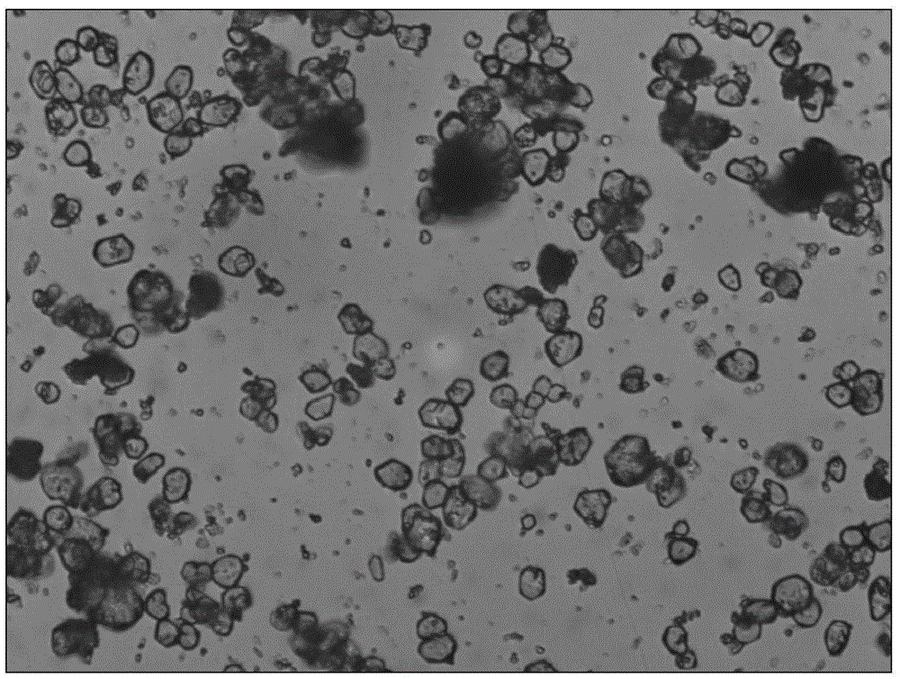 Platy-monocrystal alpha-aluminum oxide, and preparation method and application thereof