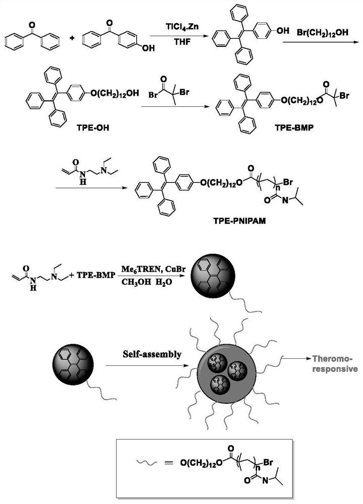 Temperature-responsive AIE fluorescent polymer nanoparticles and its synthesis method and application