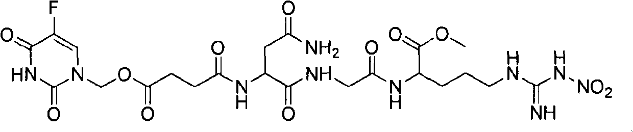 Novel anti-cancer medicaments using NGR(NO2) as targeting carrier, preparation thereof and use thereof