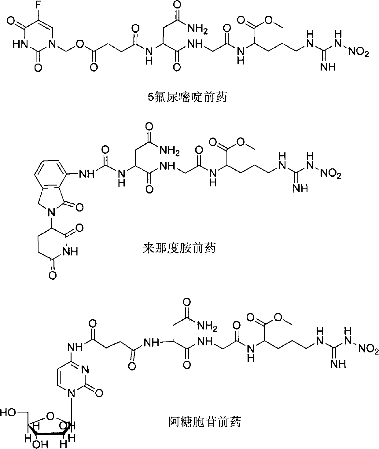 Novel anti-cancer medicaments using NGR(NO2) as targeting carrier, preparation thereof and use thereof