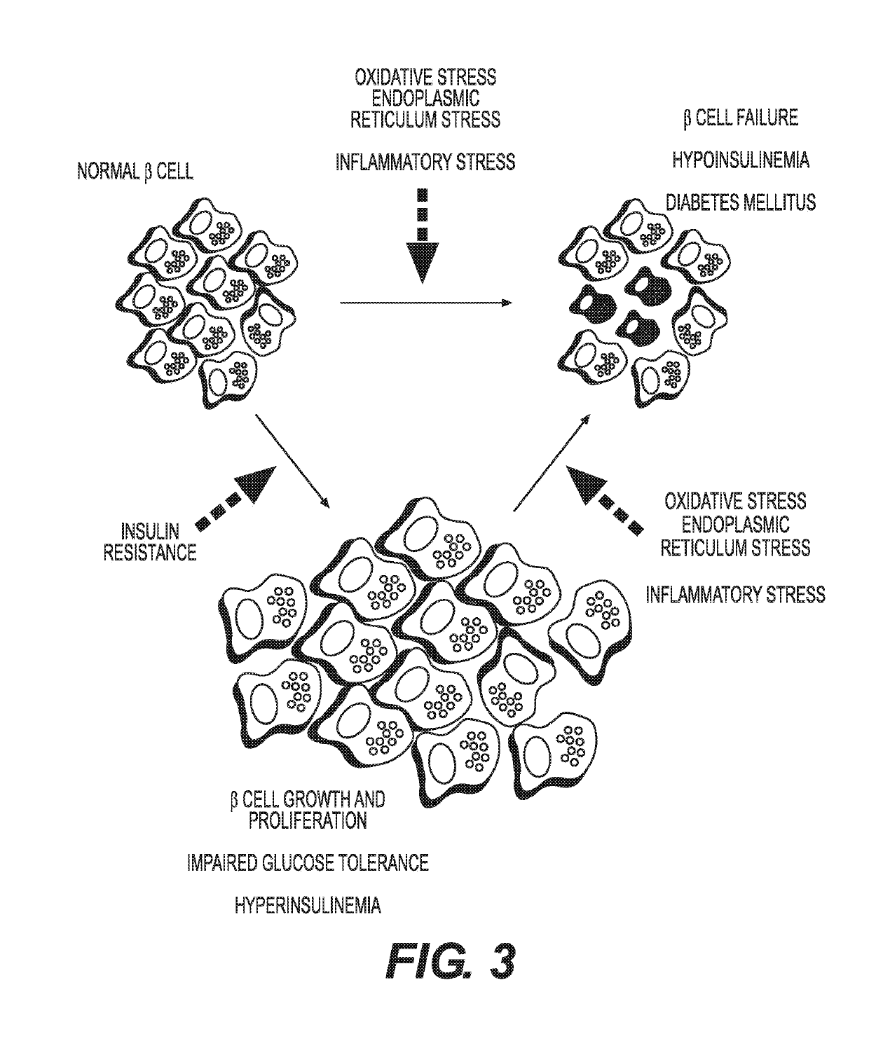 Method of detection of clinically significant post-prandial hyperglycemia in normoglycemic patients