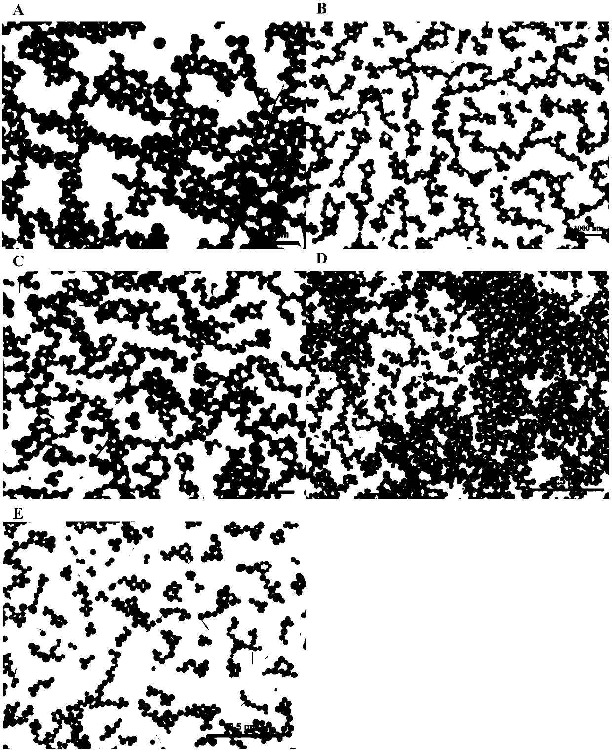 Double-loaded nano pesticide sustained-release capsule for preventing and curing rice sheath blight disease and preparation method of double-loaded nano pesticide sustained-release capsule