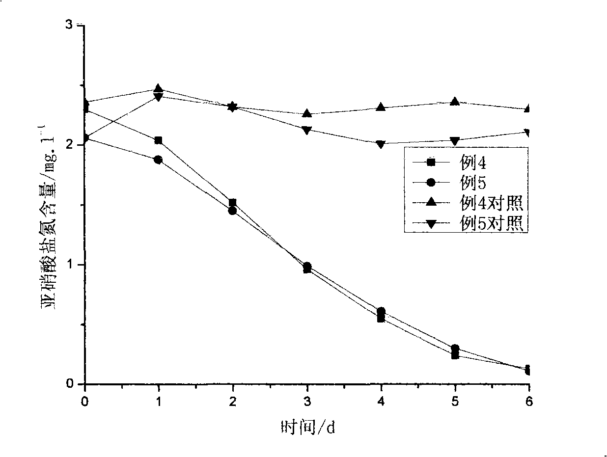 Process for degrading cultivation waste water nitrite using immobilized nitrifying bacteria