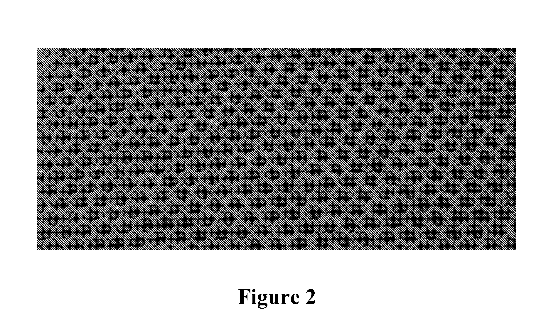 Cell Feature Extraction and Labeling Thereof