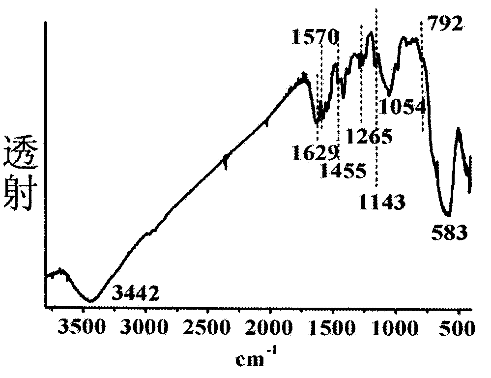 Iron ferric oxide nanocomposite particles and its preparation method and application