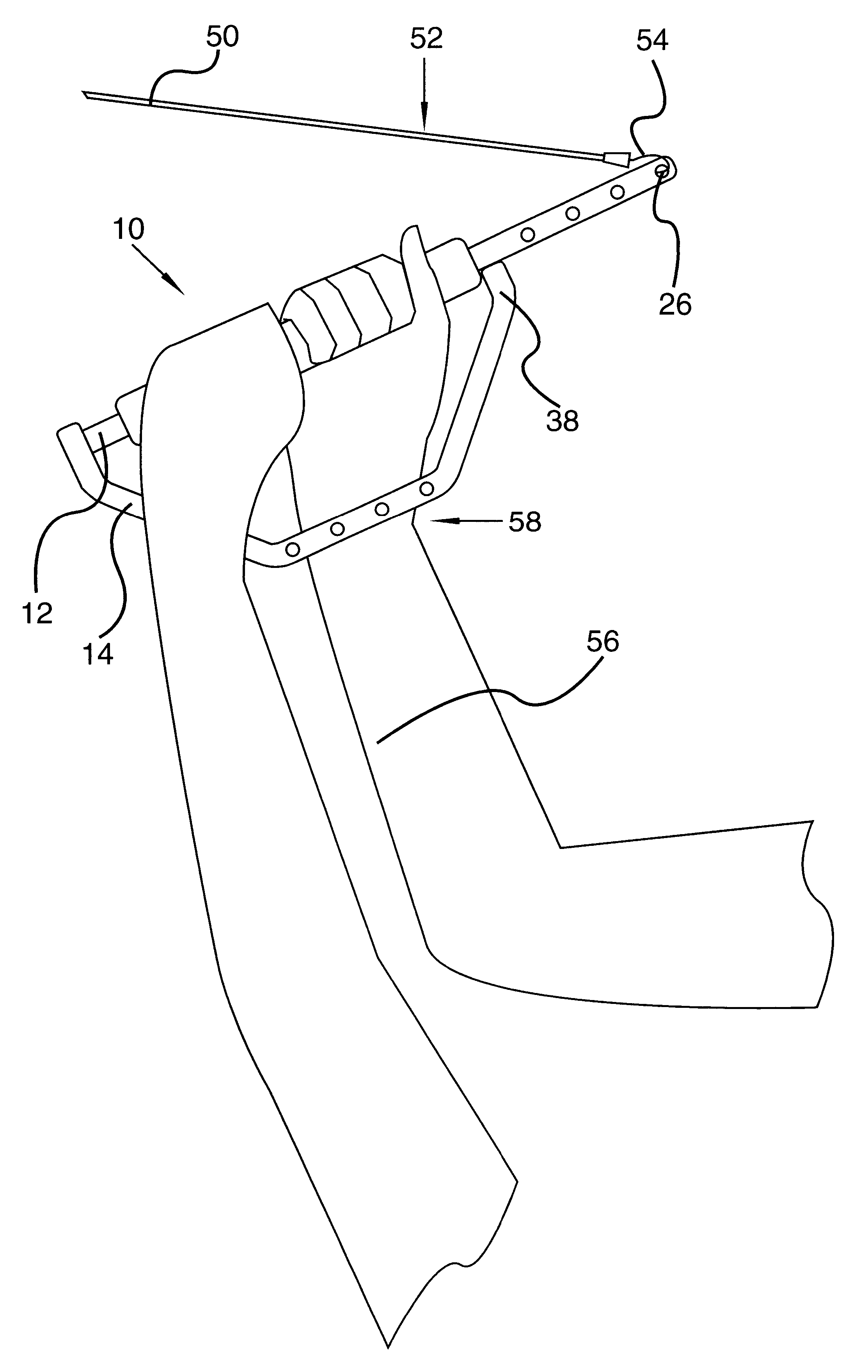 Muscle training and development device