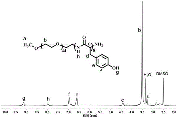 Injectable polypeptide hydrogel for local radiotherapy on tumor and preparation method of injectable polypeptide hydrogel