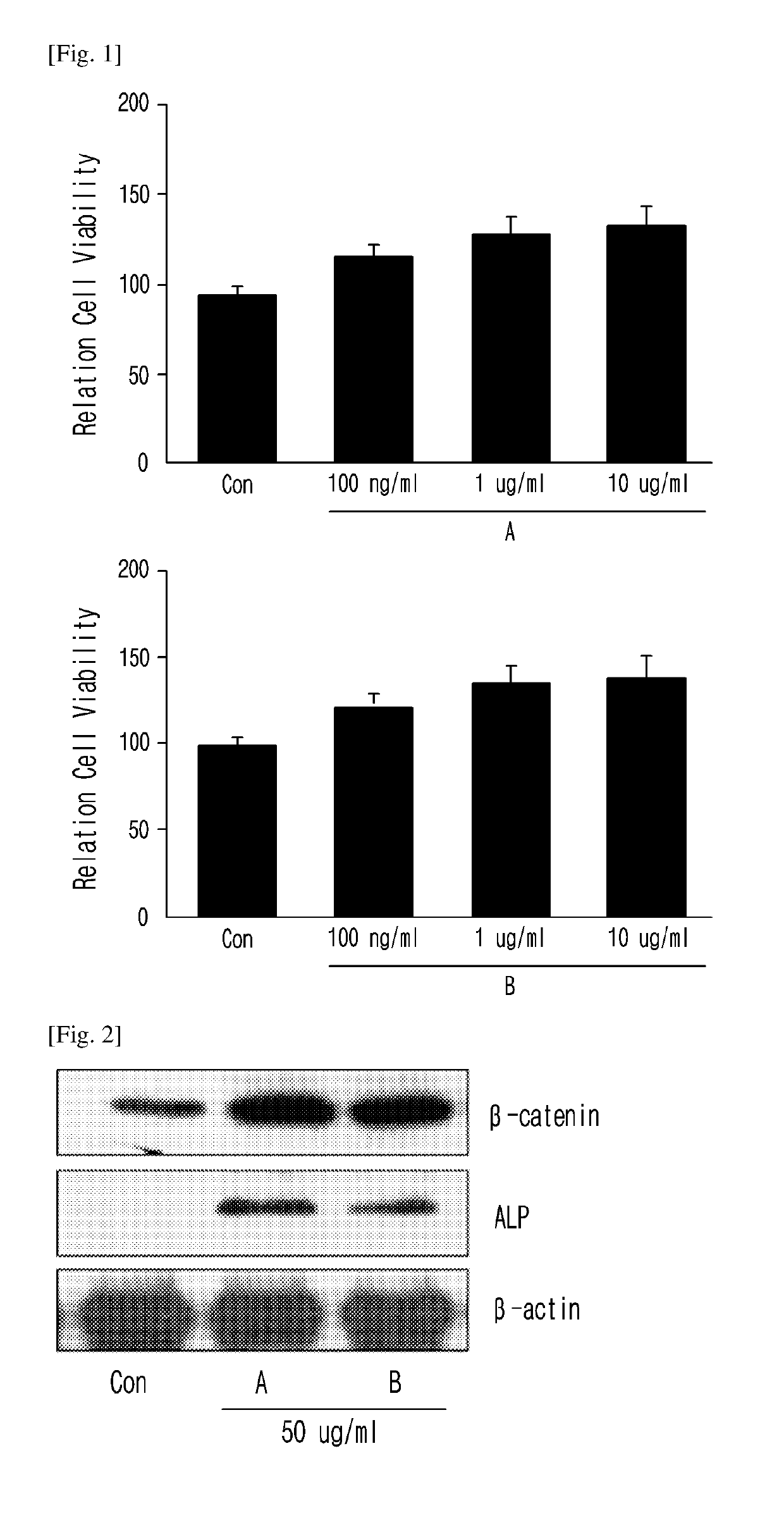 Pharmaceutical composition for the prevention or treatment of alopecia comprising eremochloa ophiuroides extract or fractions thereof as an active ingredient