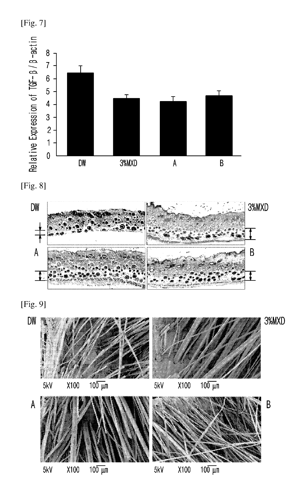 Pharmaceutical composition for the prevention or treatment of alopecia comprising eremochloa ophiuroides extract or fractions thereof as an active ingredient