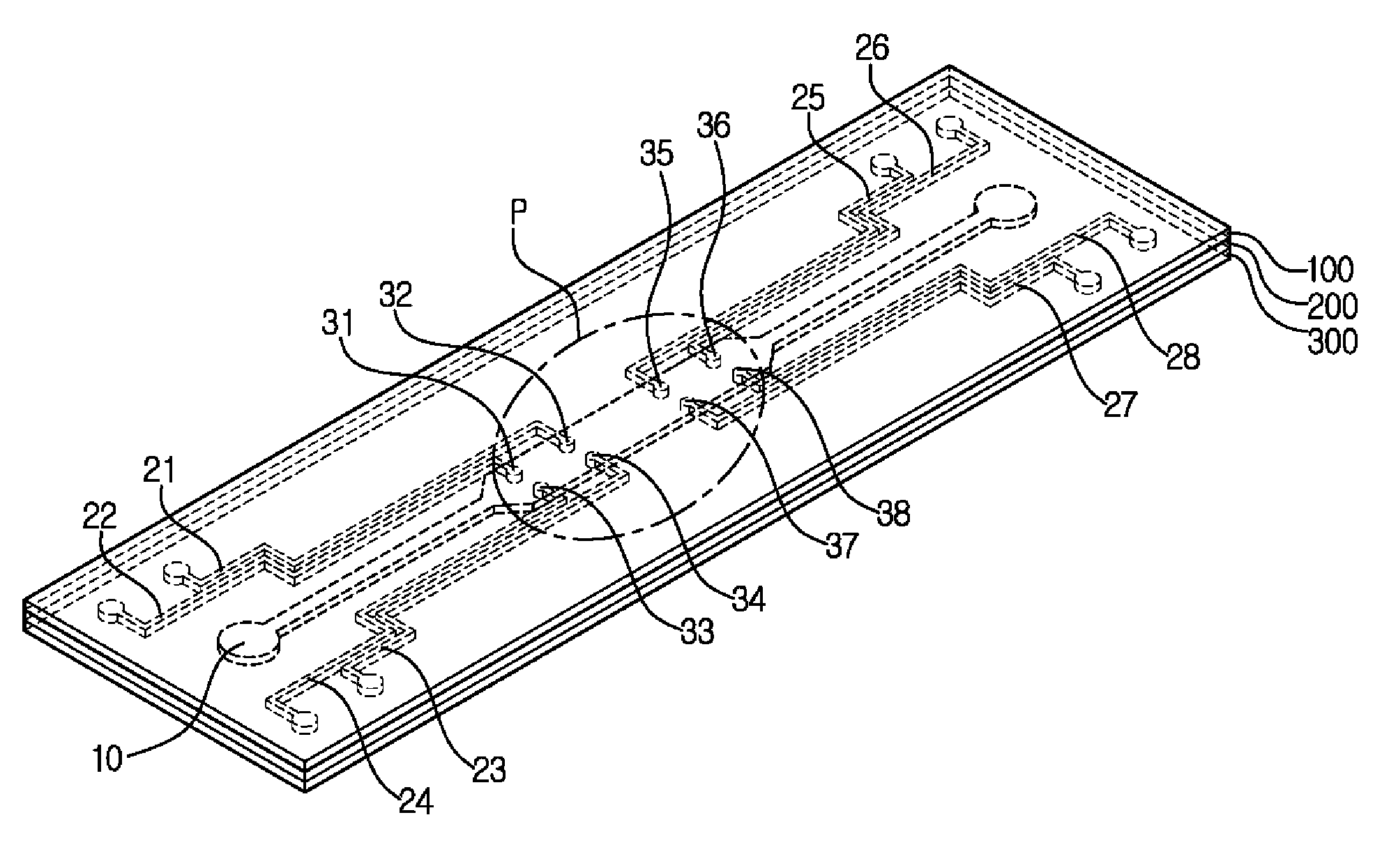 Apparatus for single cell separation and position fixing