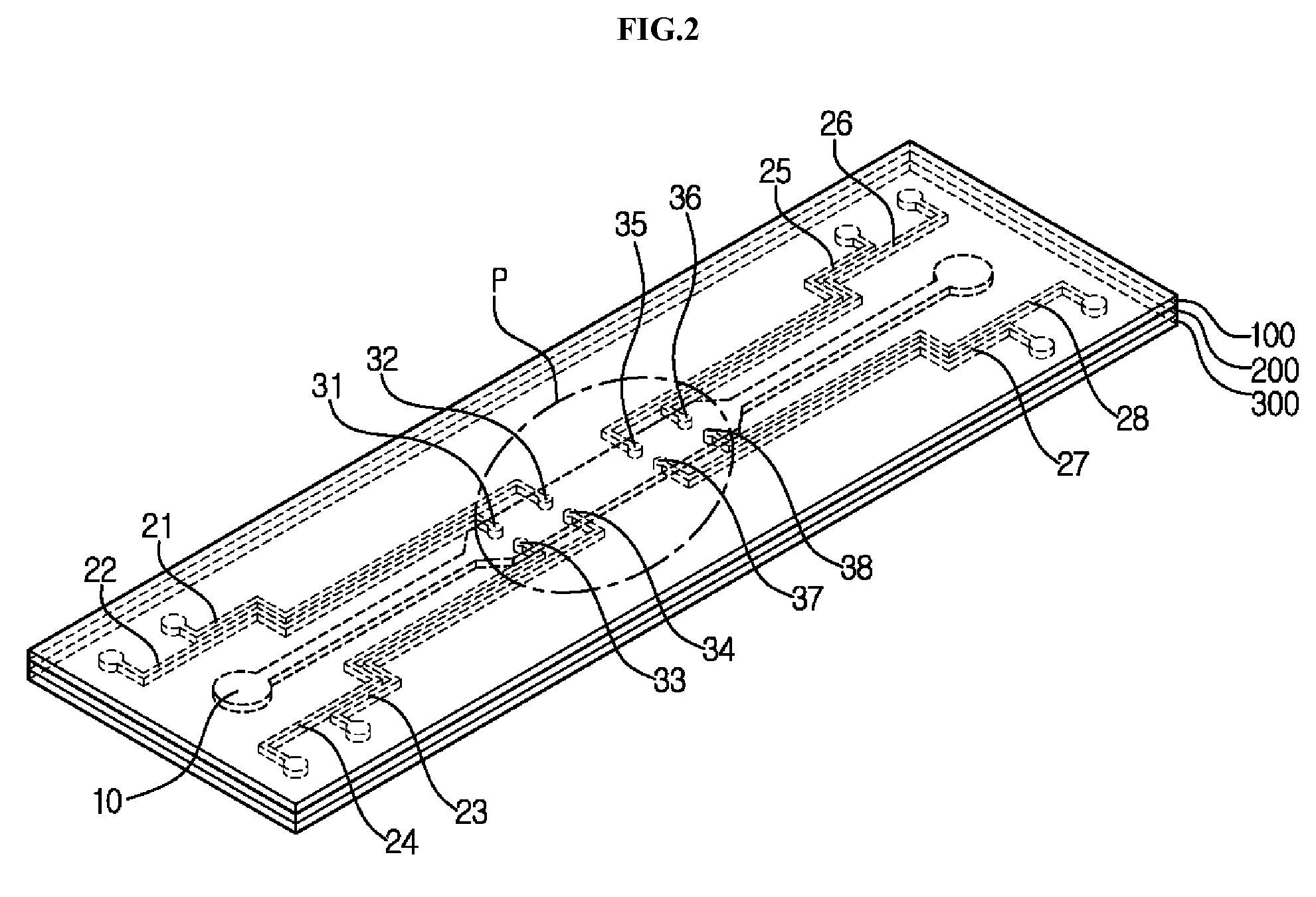 Apparatus for single cell separation and position fixing