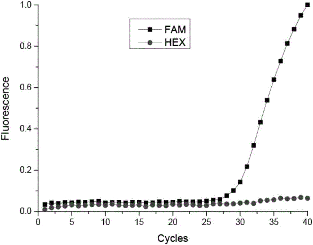 2385 polymorphism detection kit for LRRK2 gene