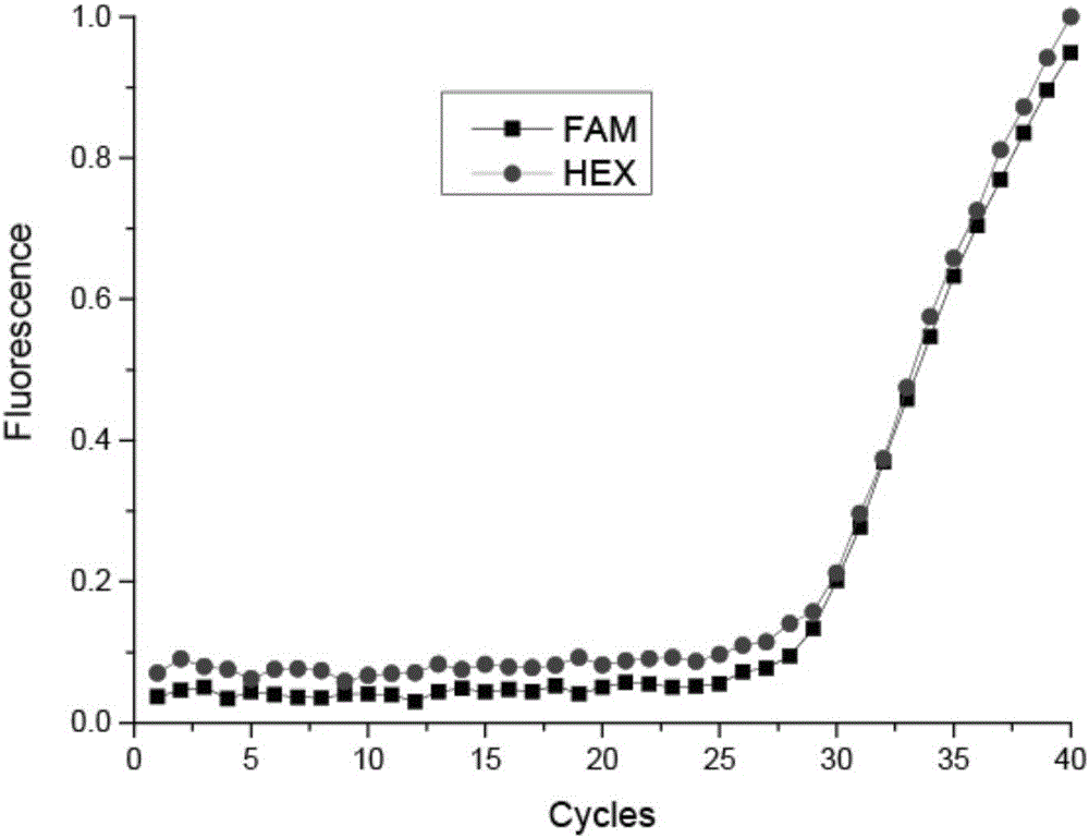 2385 polymorphism detection kit for LRRK2 gene