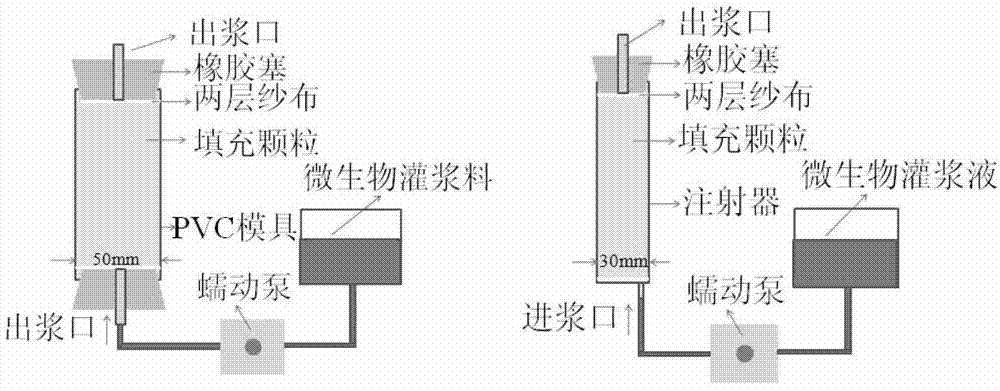 Method for preparing high-strength microbial mortar by using urease-producing microbes