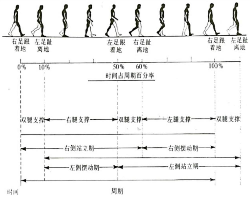 Human body gait monitoring algorithm based on dynamic time planning