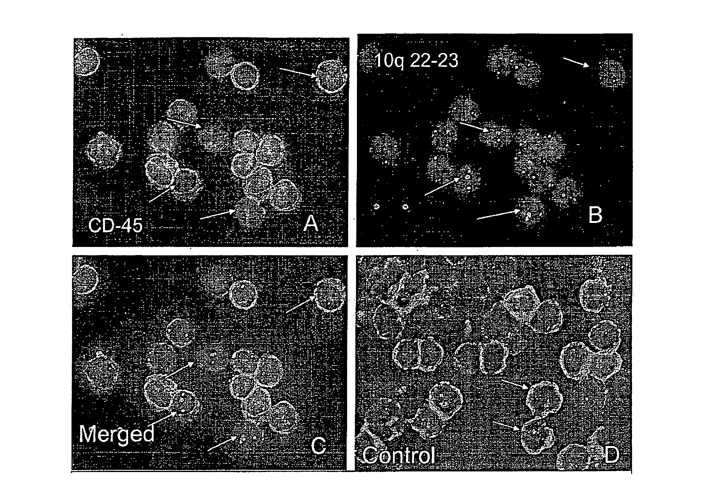 Circulating Tumor and Tumor Stem Cell Detection Using Genomic Specific Probes