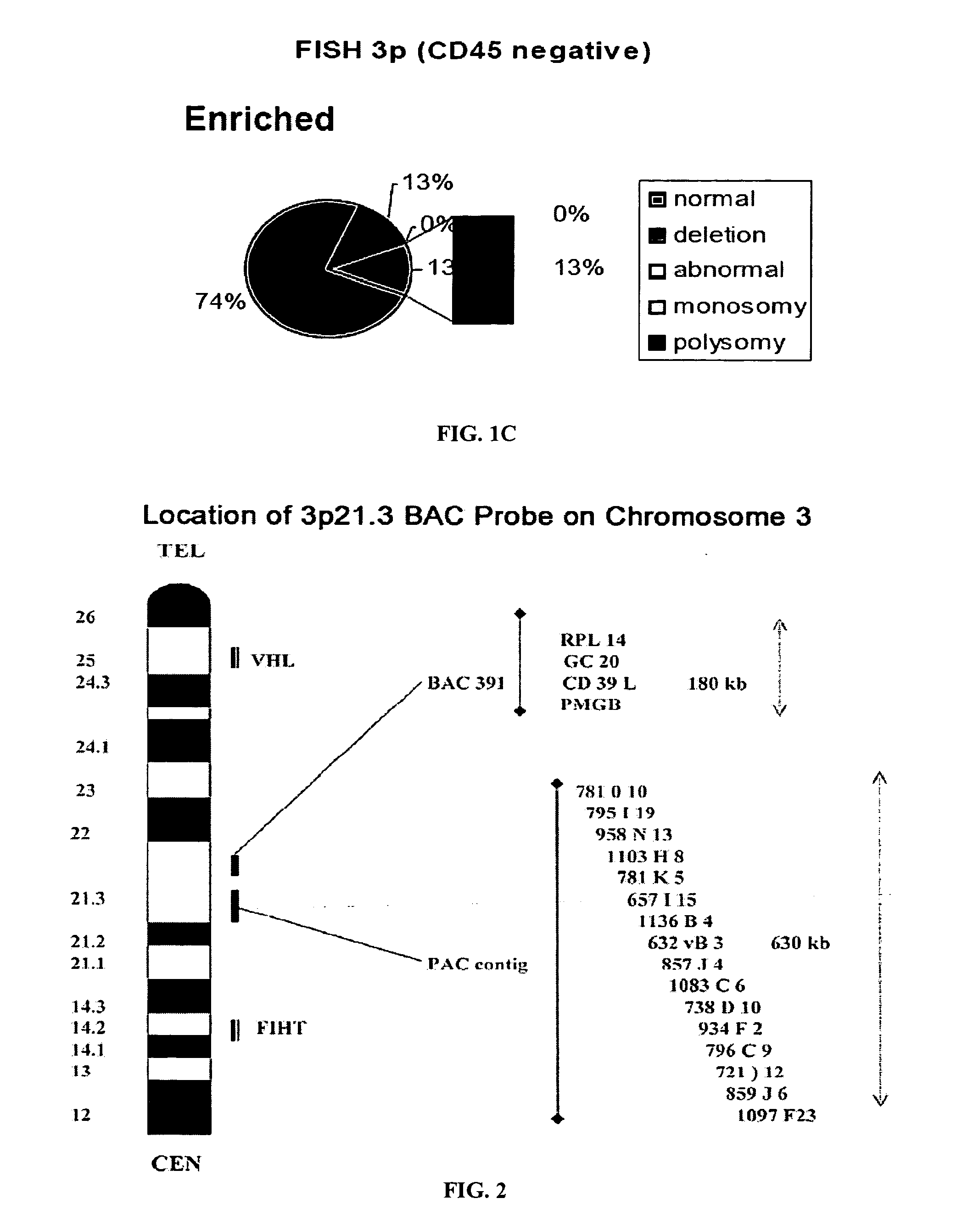 Circulating Tumor and Tumor Stem Cell Detection Using Genomic Specific Probes