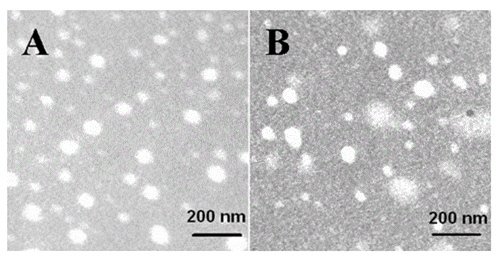 Non-viral gene vector constructed on basis of N-terminal octadecane acylated antibacterial peptide