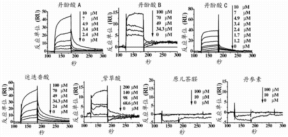 Use of polymer salvianolic acid in the preparation of drugs for inhibiting the occurrence or development of aortic aneurysm or aortic dissection