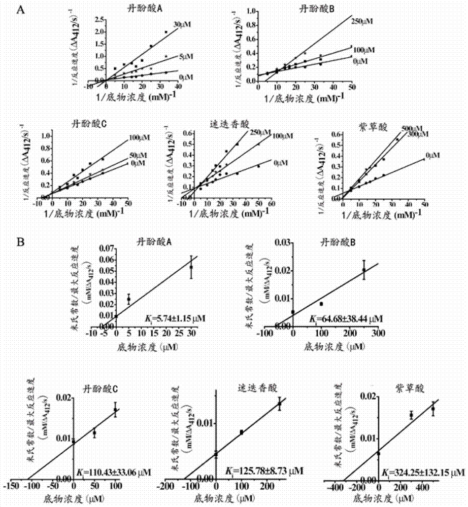 Use of polymer salvianolic acid in the preparation of drugs for inhibiting the occurrence or development of aortic aneurysm or aortic dissection