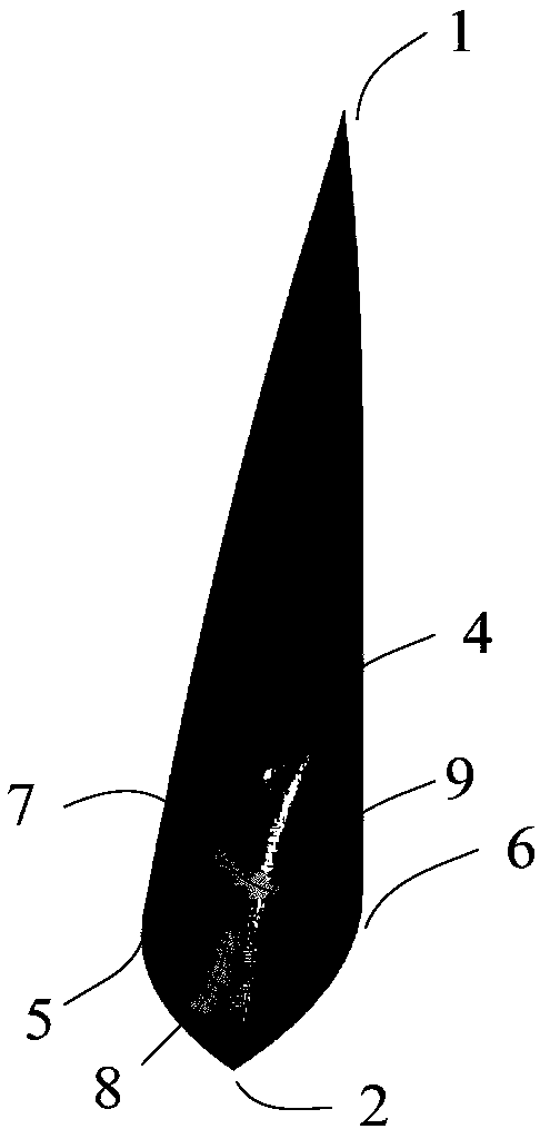 Low-scattering carrier both considering forward design and lateral design