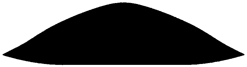 Low-scattering carrier both considering forward design and lateral design