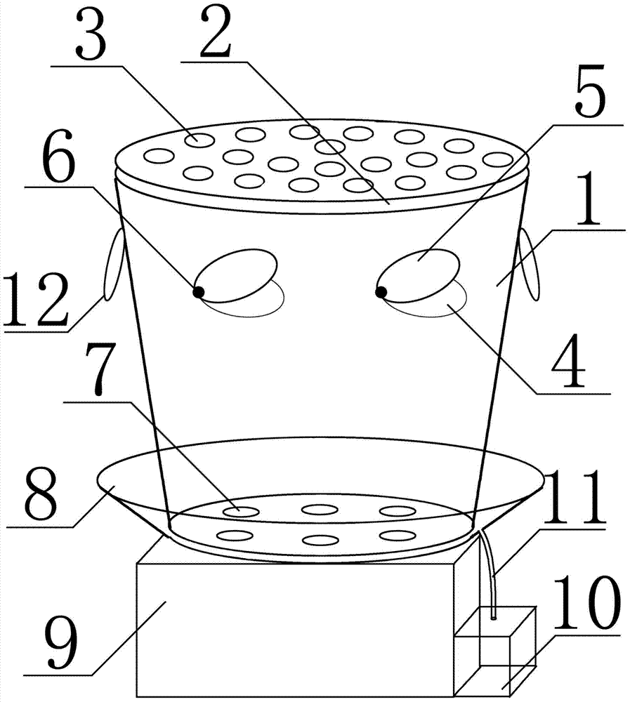 Novel vegetable planting basin