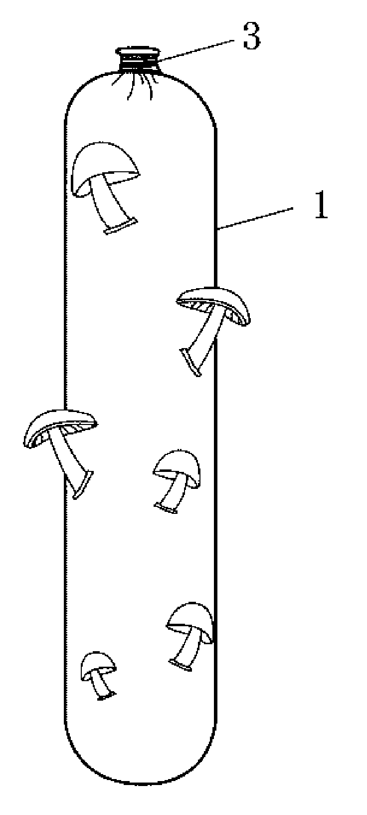 Single-layer cutting-free bag flower mushroom cultivation process