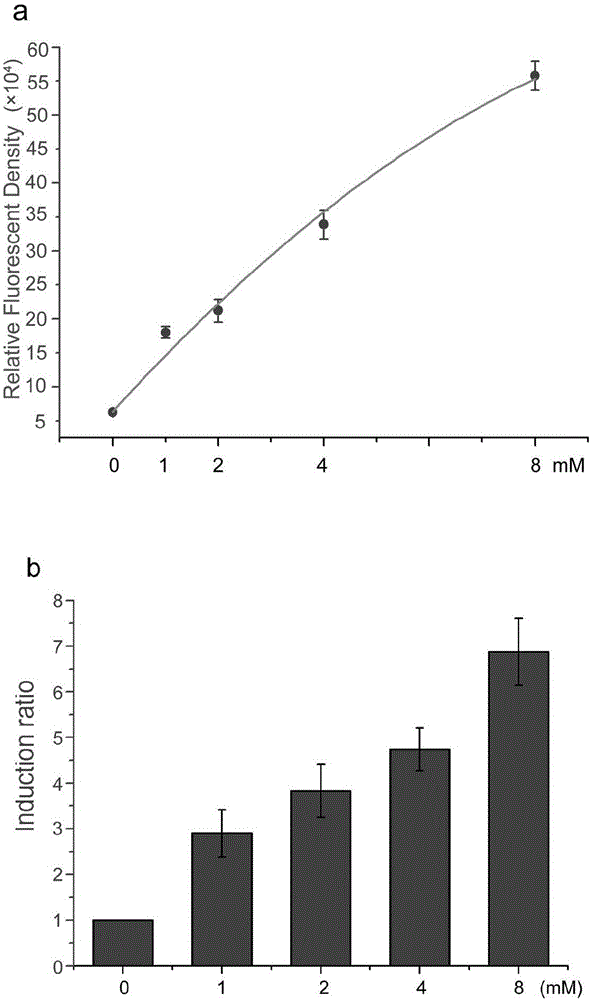 Theophylline induction type gene expression system