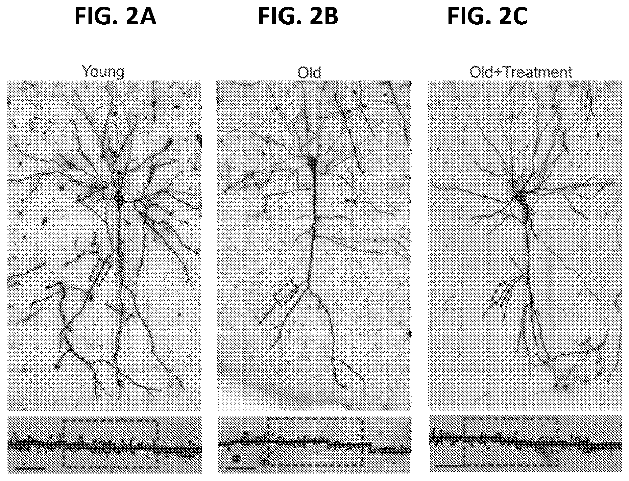 Compositions and methods relating to use of agonists of alpha5-containing gabaa receptors