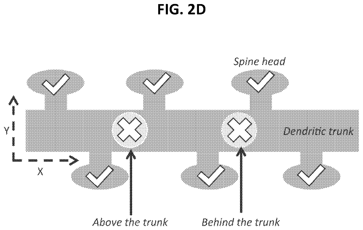 Compositions and methods relating to use of agonists of alpha5-containing gabaa receptors