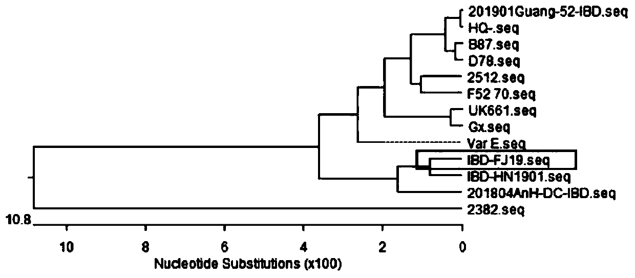 Quadruple inactivated vaccine and preparation method thereof