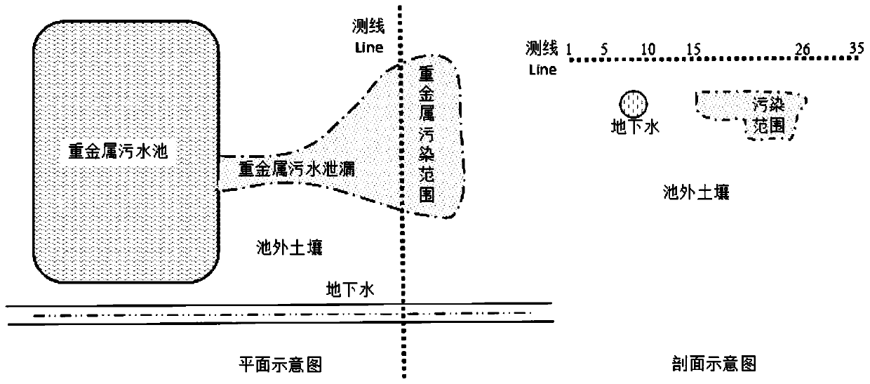 Induced polarization method for heavy metal sewage detection