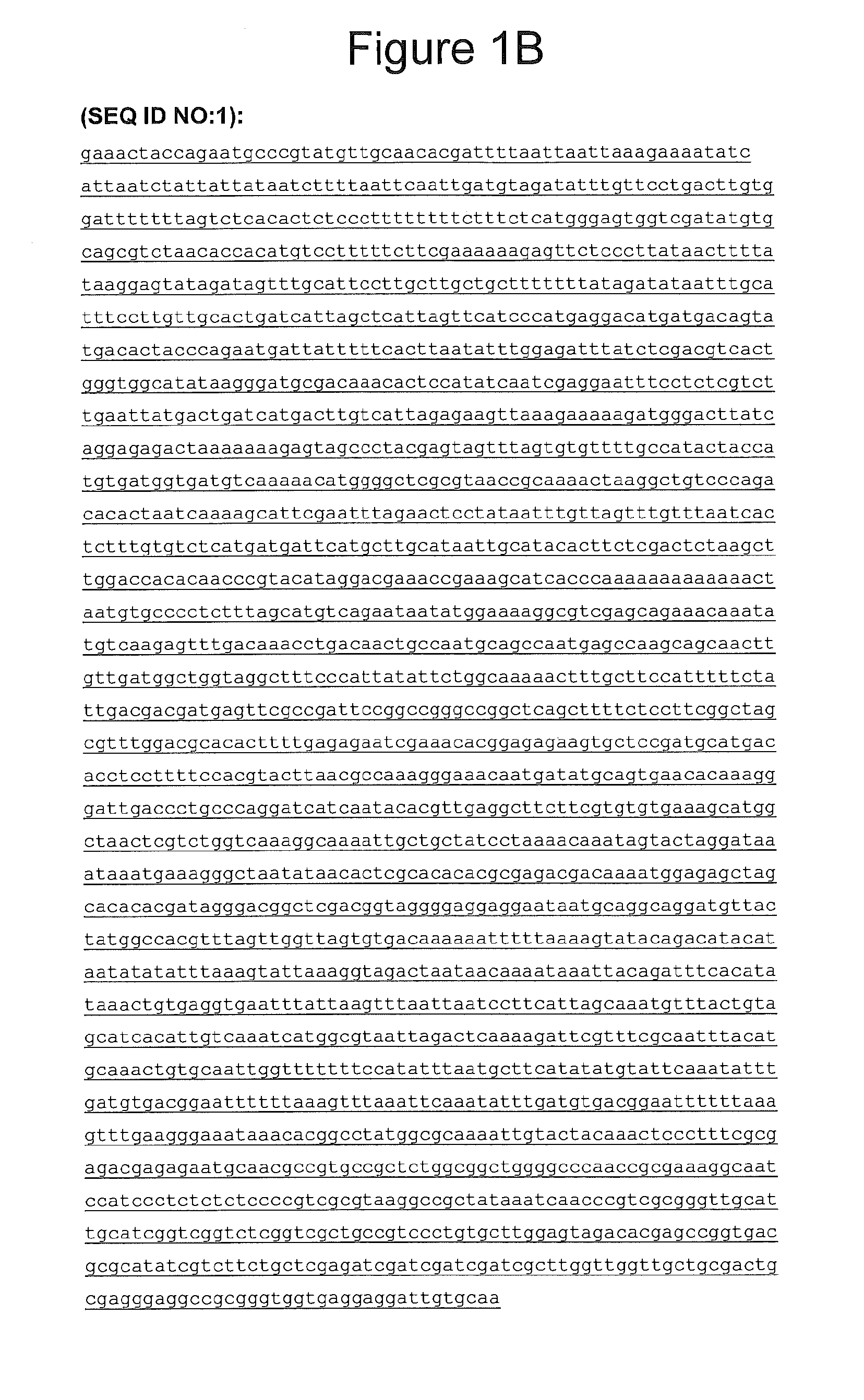 Methods of increasing tolerance to heat stress and amino acid content of plants