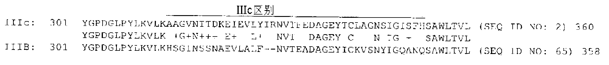 Antibody molecules to oncogenic isoforms of fibroblast growth factor receptor-2 and uses thereof