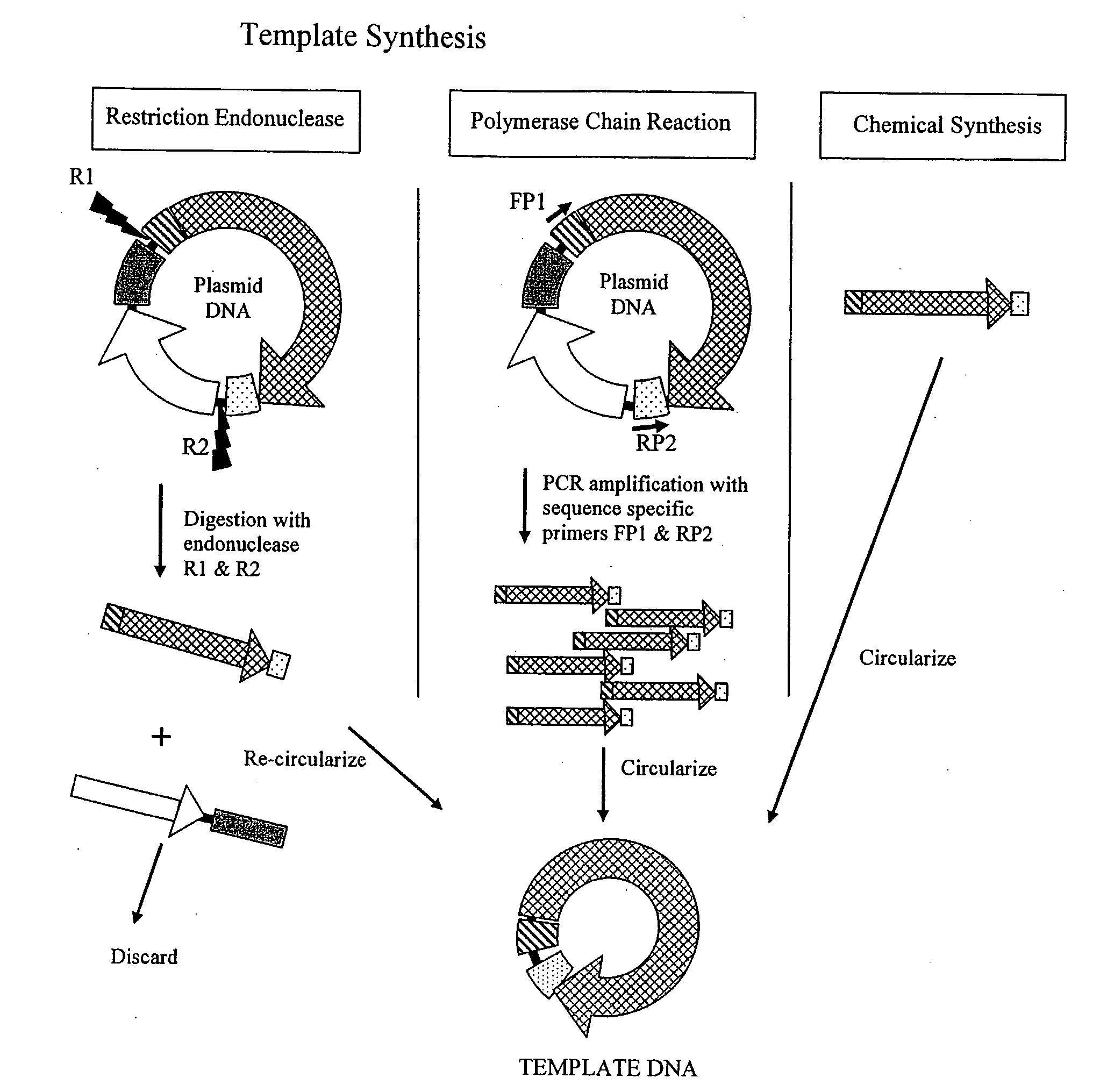 Cell Free Biosynthesis of High-Quality Nucleic Acid and Uses Thereof