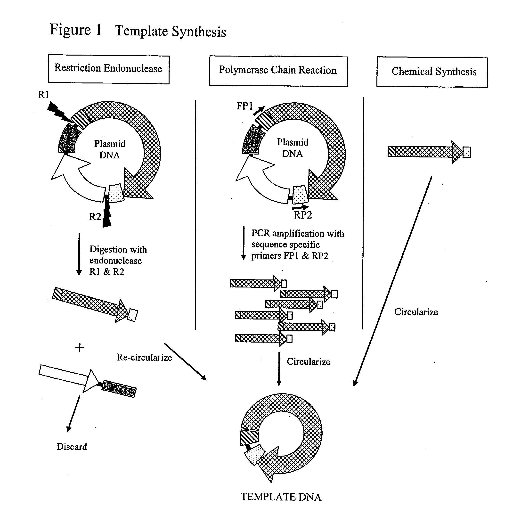 Cell Free Biosynthesis of High-Quality Nucleic Acid and Uses Thereof