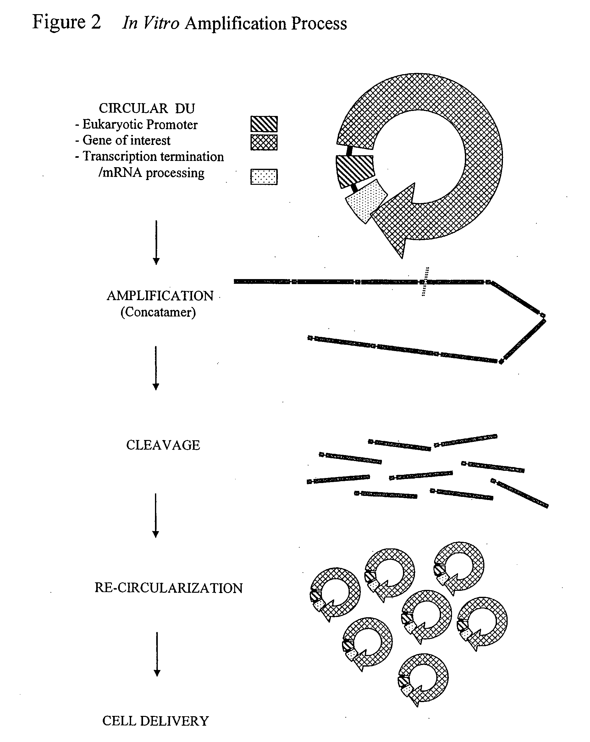 Cell Free Biosynthesis of High-Quality Nucleic Acid and Uses Thereof