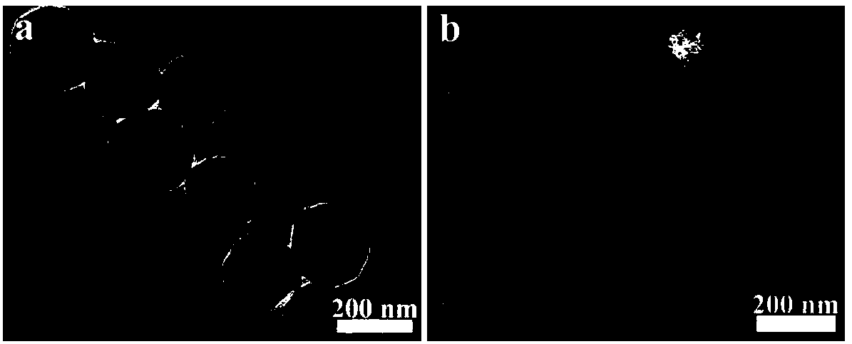 Ni/CeO2NP@PANI core-shell structural composite material and preparation method thereof