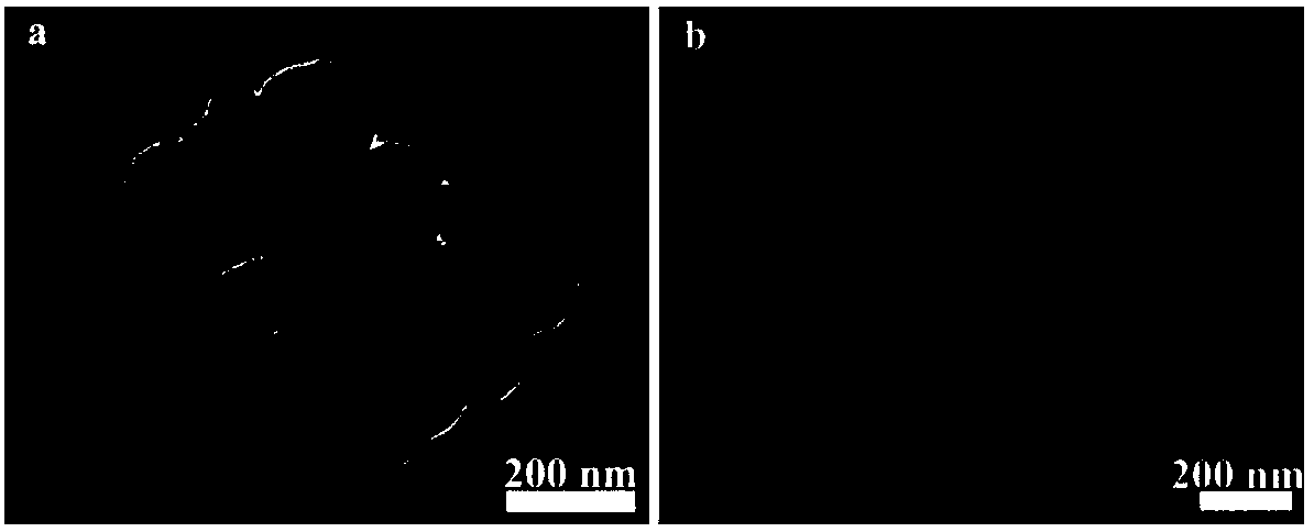 Ni/CeO2NP@PANI core-shell structural composite material and preparation method thereof