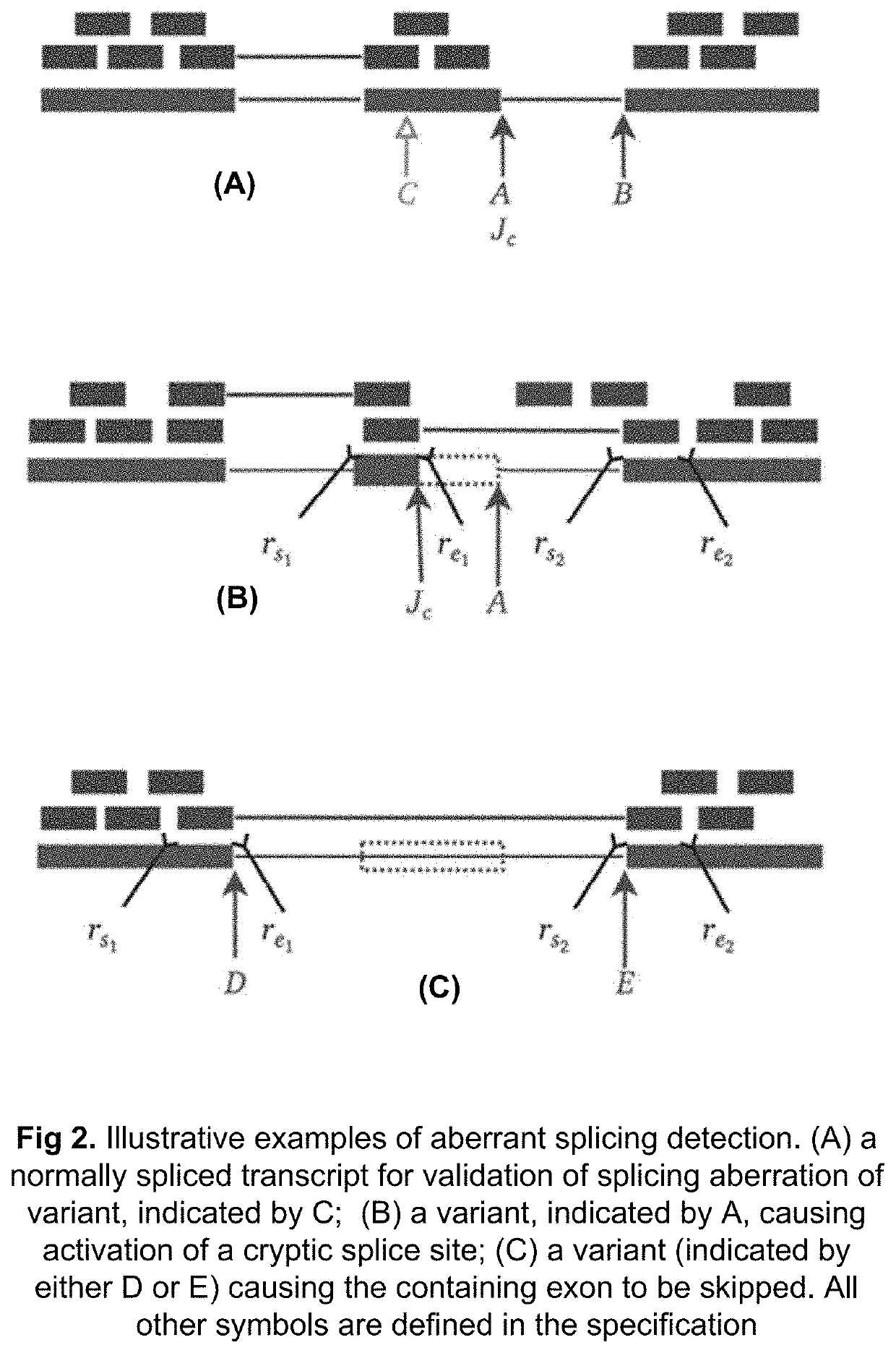 Method of validating mRNA splicing mutations in complete transcriptomes