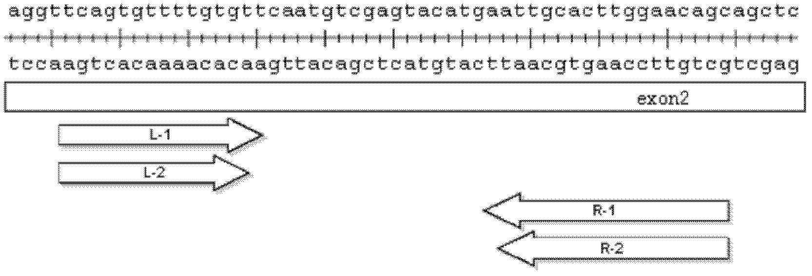 A pair of short peptides, proteins and polynucleotides, host cells and applications thereof