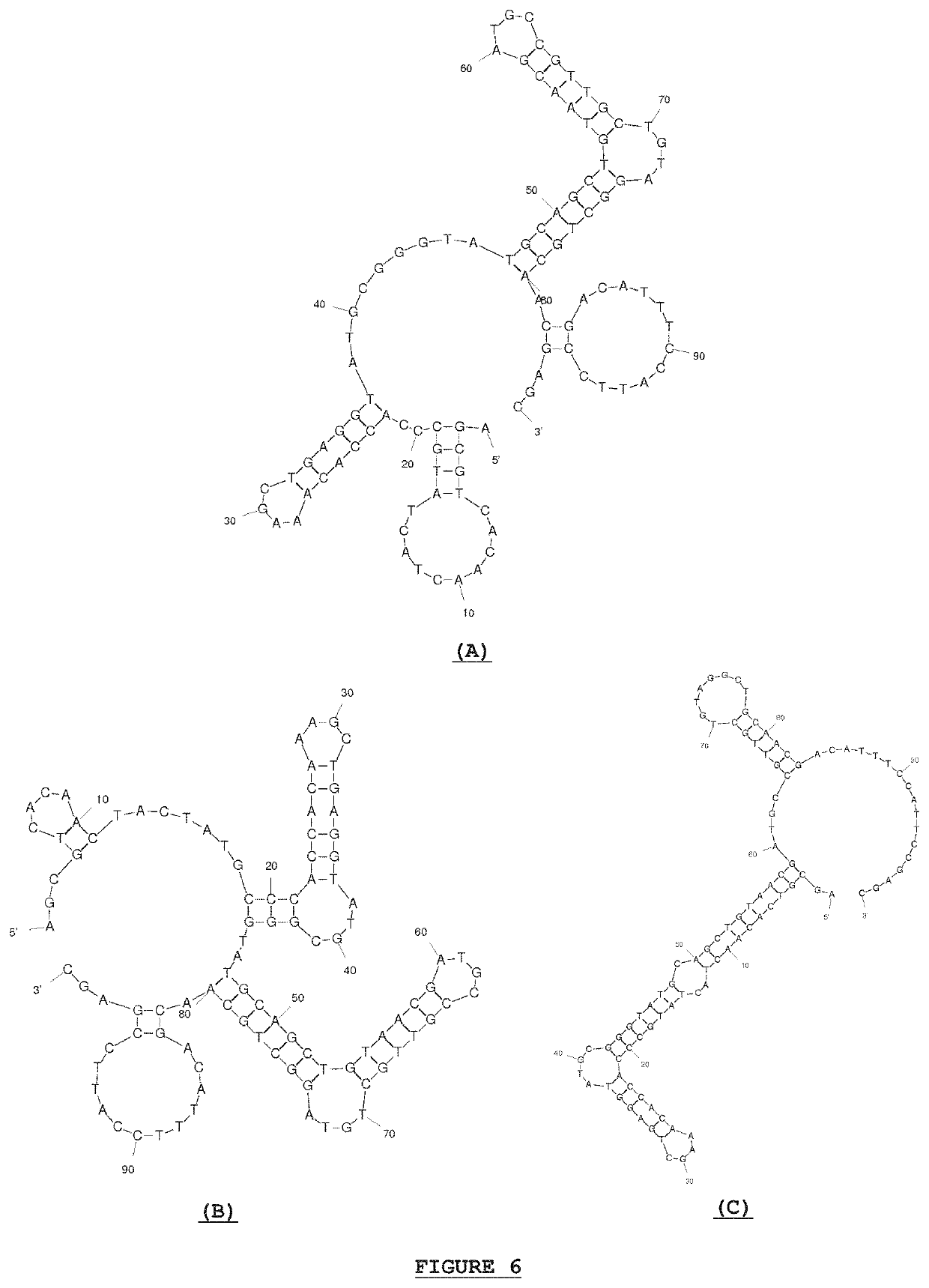 Ligand binding assay for detecting gibberellins