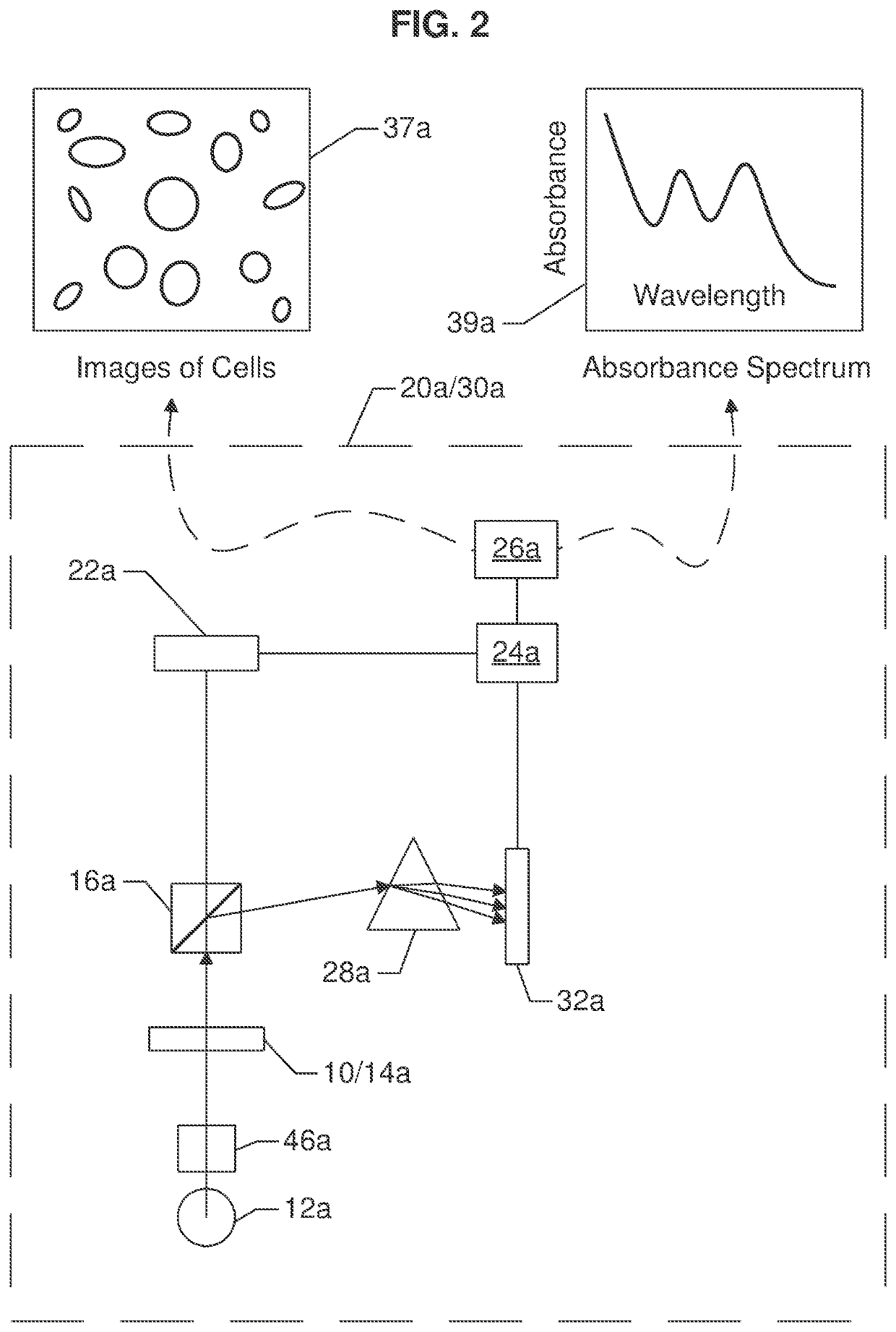 Point-of-care testing cartridge with sliding cap