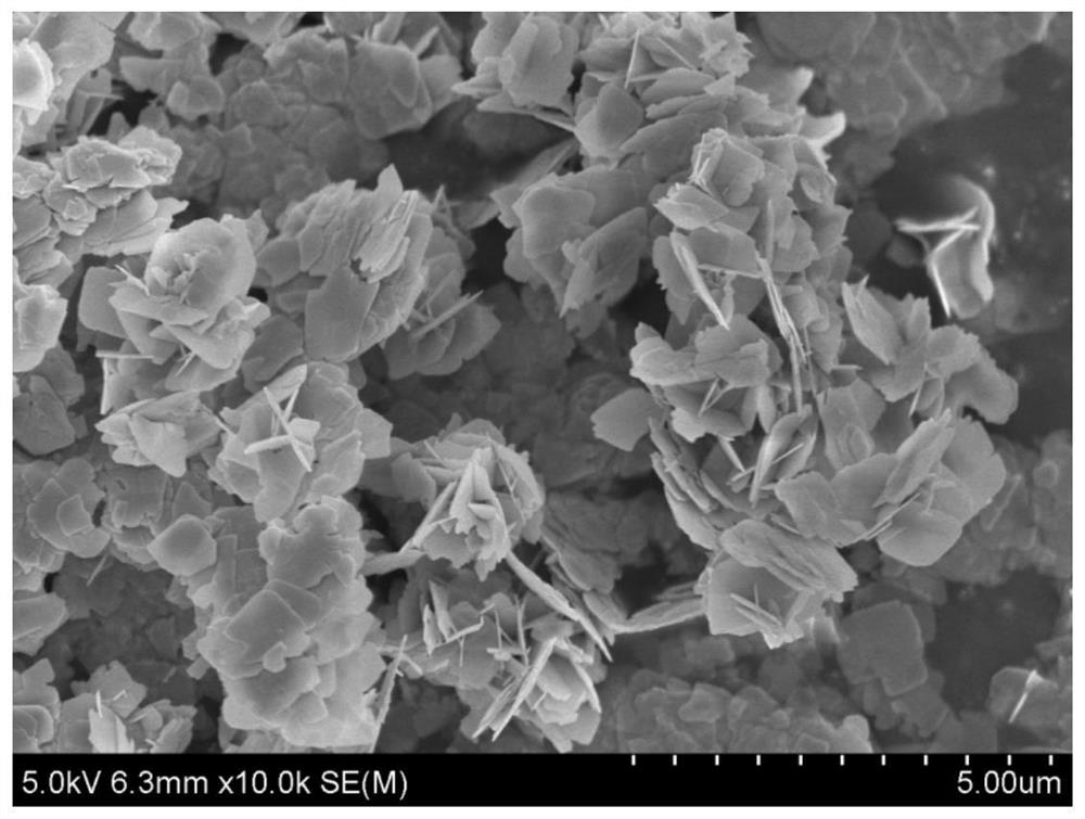 Bismuth oxybromide with three-dimensional flower-like structure and its preparation method and application