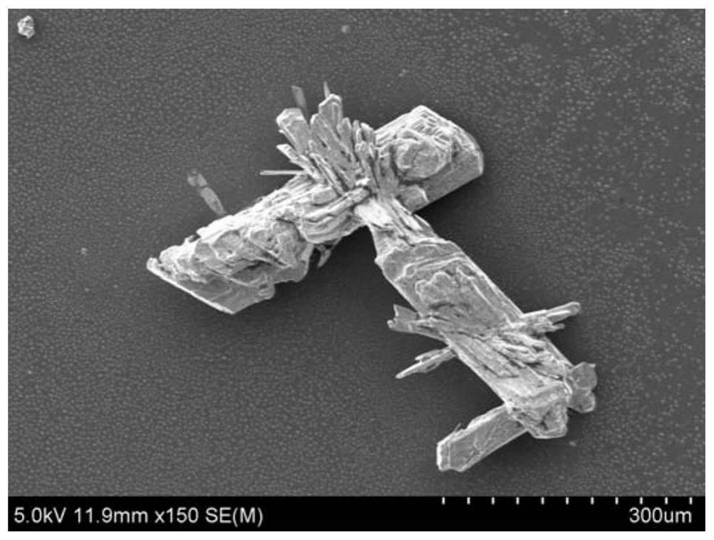 Bismuth oxybromide with three-dimensional flower-like structure and its preparation method and application