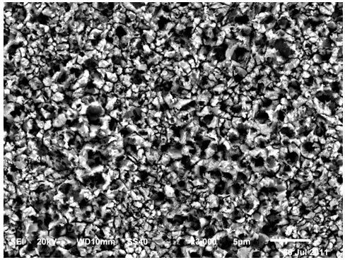 Browning conditioning fluid containing sulfydryl compound