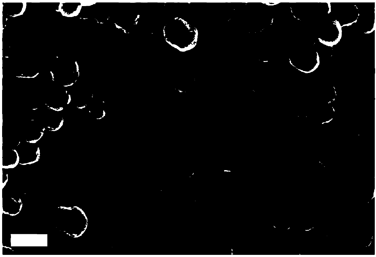 PH-responsive Schiff base copolymer-coated mesoporous silica drug-loaded nanoparticle as well as preparation method and application thereof