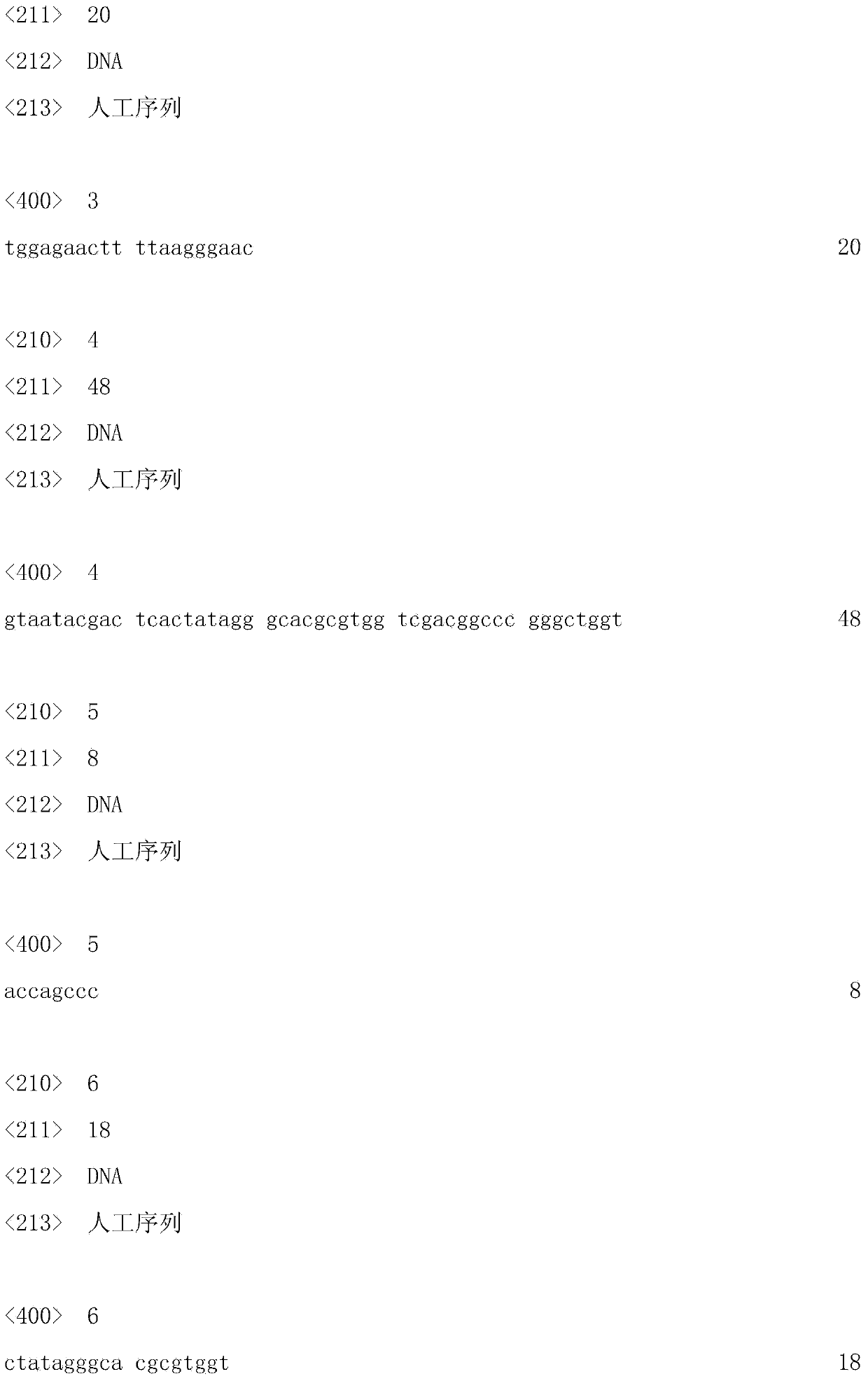 Primer pair, castanopsis hystrix SSR4 (Simple Sequence Repeat 4) marker and preparation method and application thereof